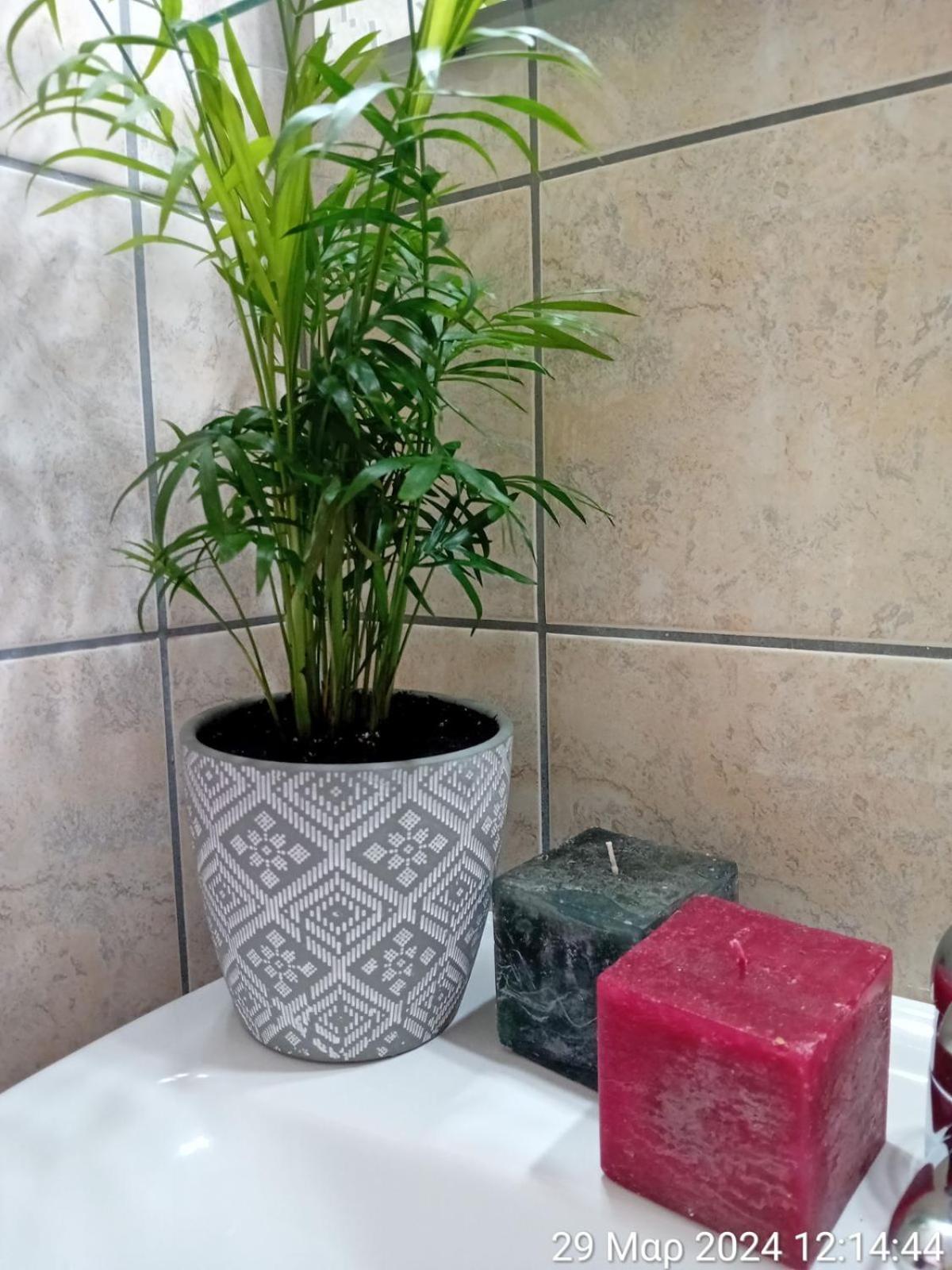 Happy Days Apartment Agia Galini  Ngoại thất bức ảnh